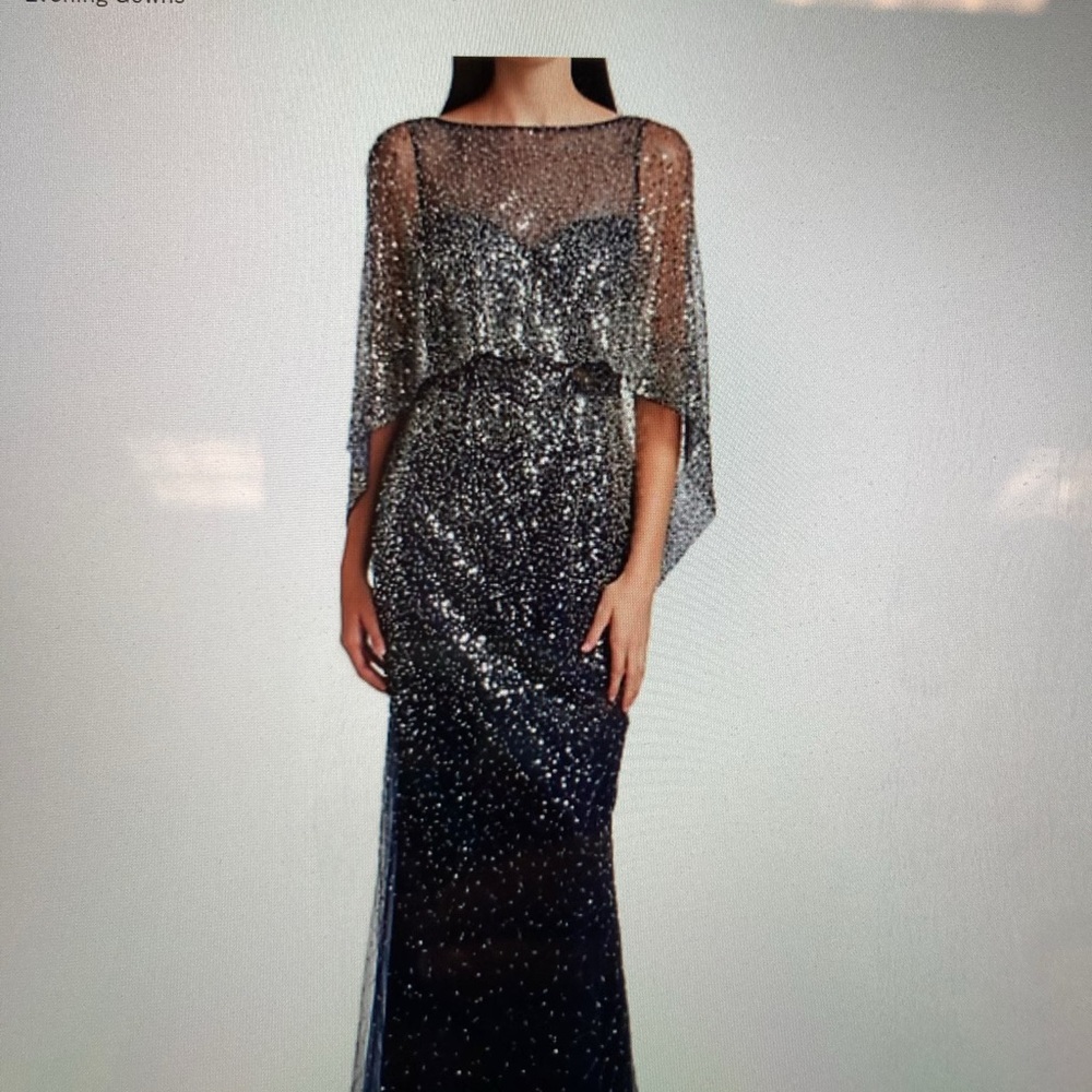 Rickie Freeman for Teri Jon Black and Silver Gown - Picture 10 of 10